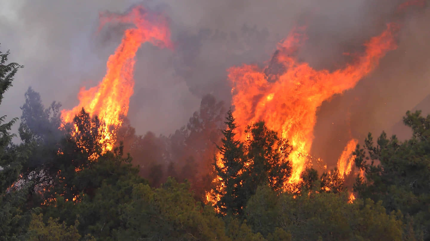 Fires are all over in Haifa, Israel, since the bad weather of strong winds and 20% humidity has begun.